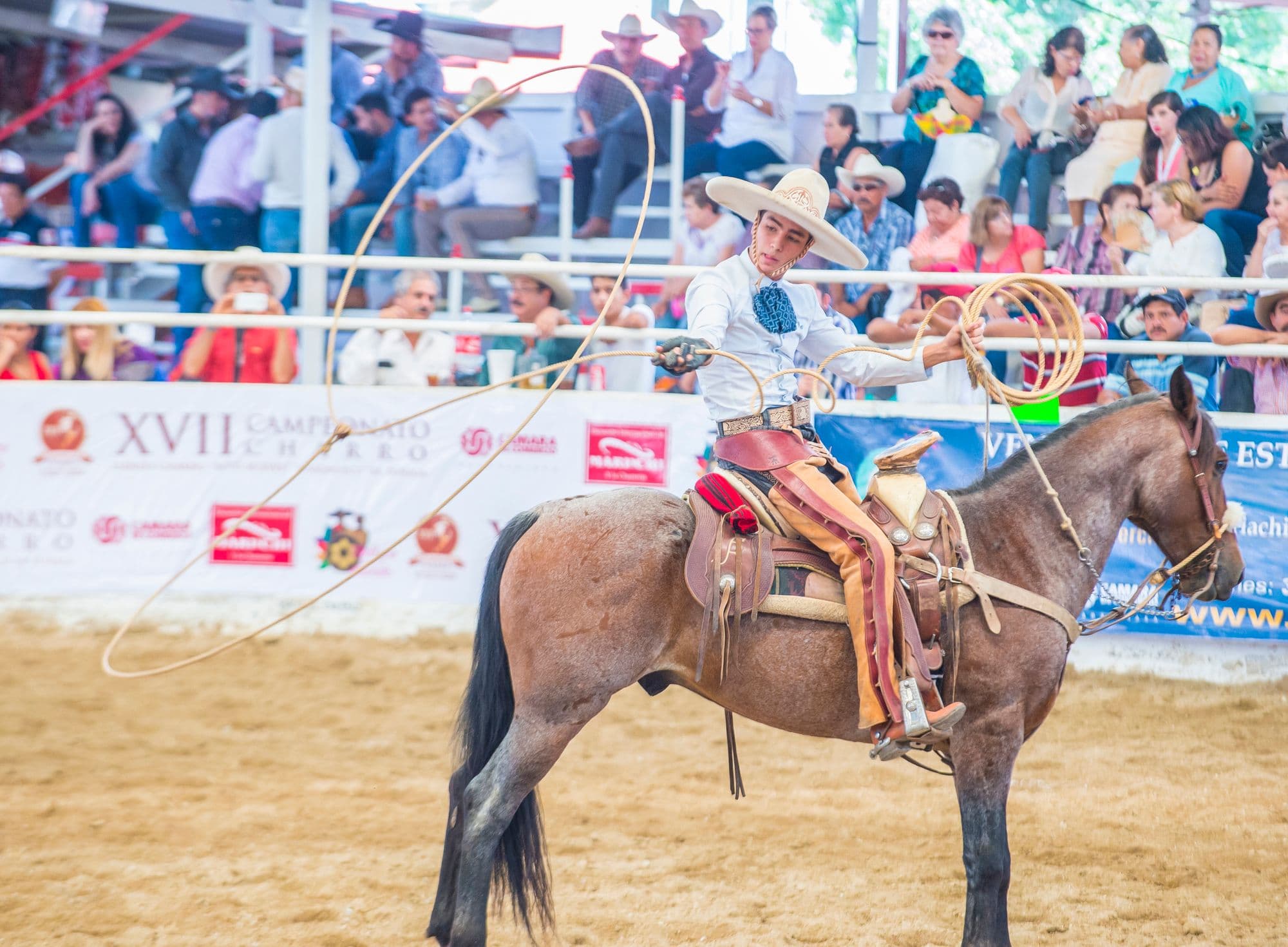 Charrería: Mexican Horsemanship
