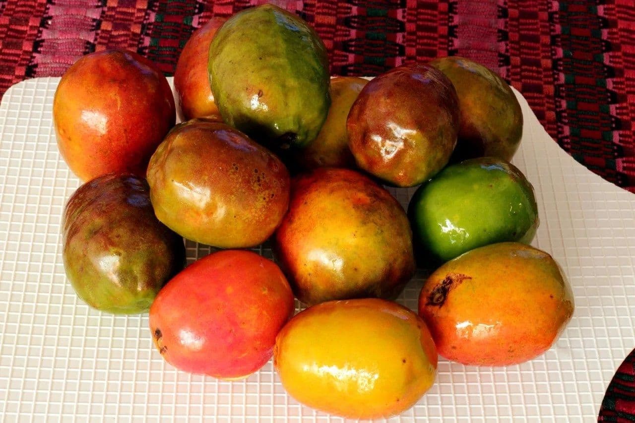 It's Ciruela Season, but What Makes Mexican Plums So Special?