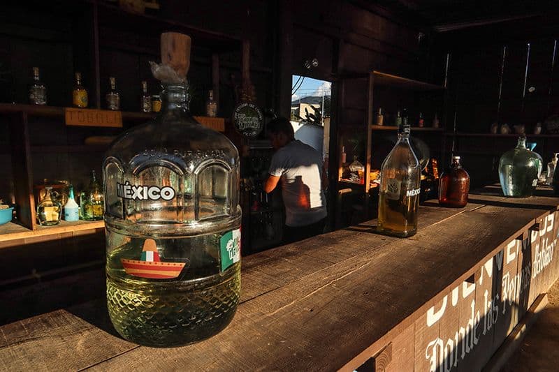 Guide to Oaxaca City